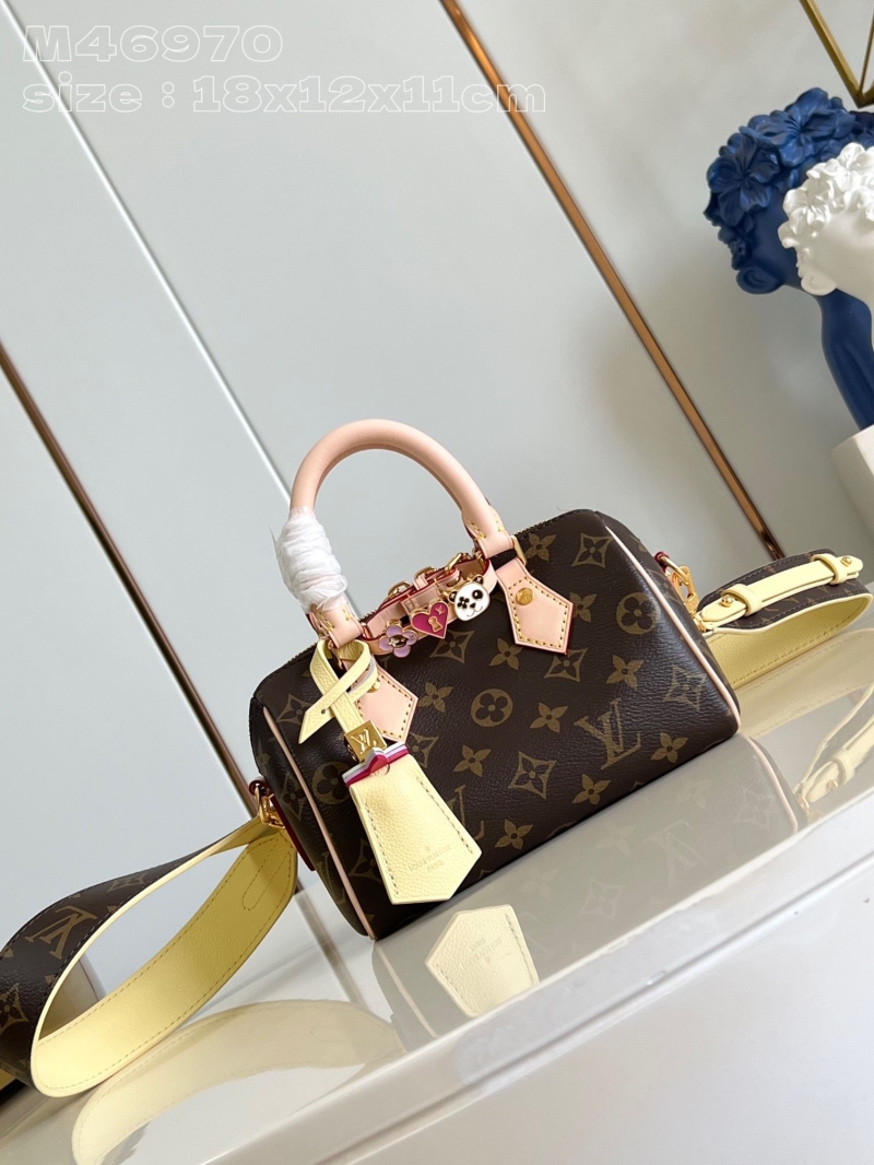 LV Satchel Bags